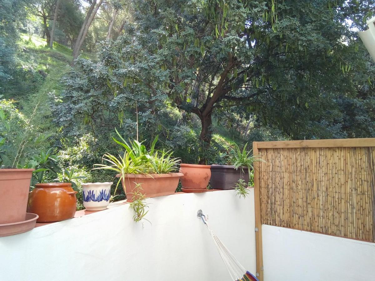 Fabulosa Casa Del Arbol Malaga Ngoại thất bức ảnh
